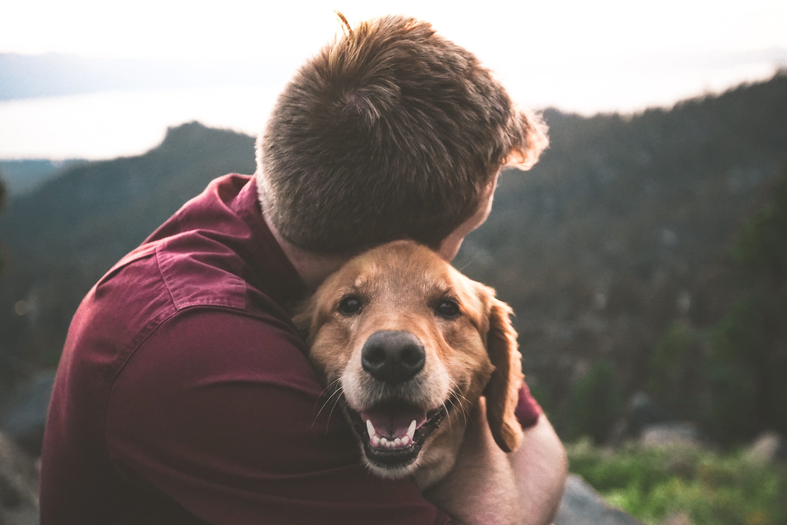 man hugging dog outdoors overlooking mountain dog looking into camera